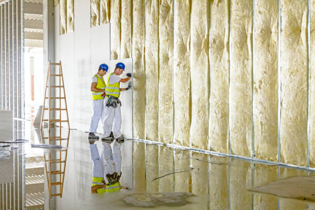 Best Commercial Insulation in Clinton, TN